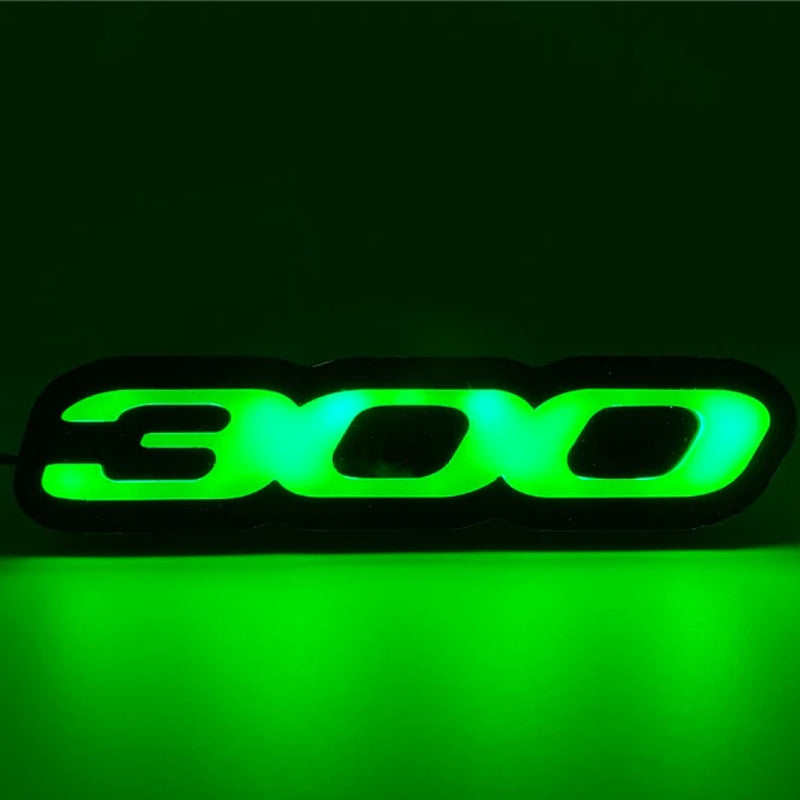 300 LED EMBLEM BADGE (RGB)